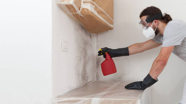 Professional Crawl Space Mold Remediation technician working in Northbrook, IL